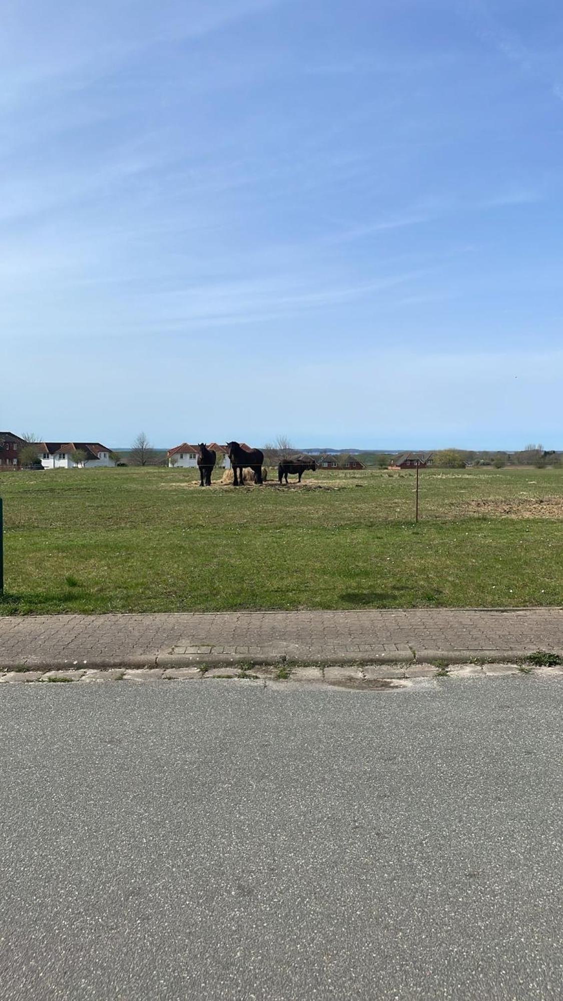 Ferienwohnung Anker6 Im Ferien-Resort Ruegen Sagard Kültér fotó